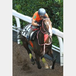 けさしまい重点とはいえ、1F11秒5!