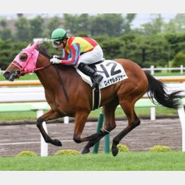 デビュー戦は秀逸な内容で勝利