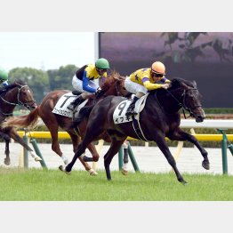 ルーラーシップ産駒は2週目に早くも新馬勝ち