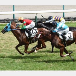 7Rはマイネルビッグバンが勝利