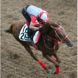 「状態は非常にいい」と清永助手