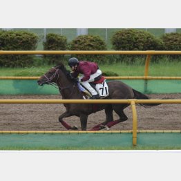 雨で重い馬場をモノともしなかった
