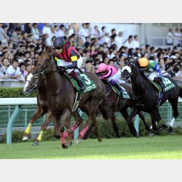 11年は2枠エーシンヴァーゴウが人気に応えた