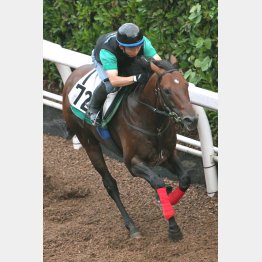 きのうは荒れた馬場で1F12秒5をマーク
