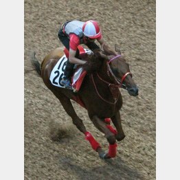 ラストは12秒1でまとめた