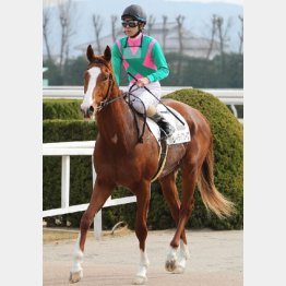ジャパンダートダービーは2着に