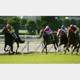 06年は3連単101万4630円のビッグ馬券だった