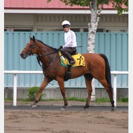8歳でも衰え知らず