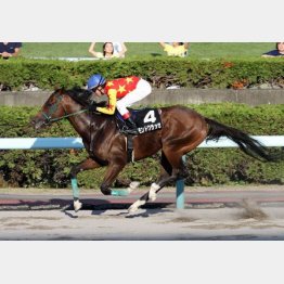 昨夏、札幌でポプラ特別を制したモンドクラッセ