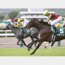 小倉記念はクランモンタナが勝利