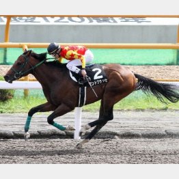 大沼Sはレコードで圧勝