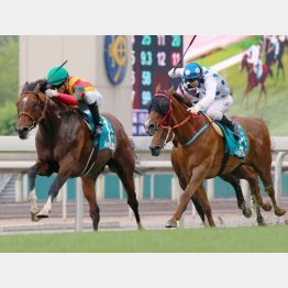 モレイラとのコンビでGⅠチャンピオンズMに勝利