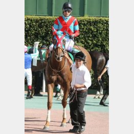 昨年はアイビスSD→北九州記念を連勝