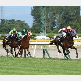 「新潟日報賞」レースの様子