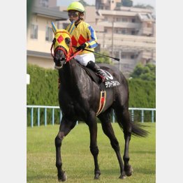 この舞台で3勝