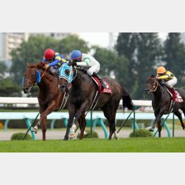 12年は4番人気の牝馬フミノイマージンが勝利