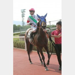 2走前の天保山Sで1年半ぶりの勝利