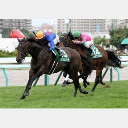 昨年は8番人気ウキヨノカゼが制して37万馬券に