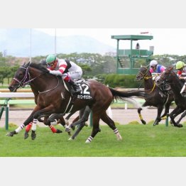 前走は余裕の首差