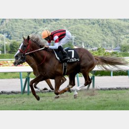 長期休養明けの前走を快勝