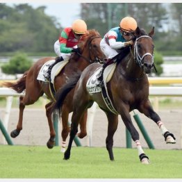 ジュンヴァリアスは相当にキレる