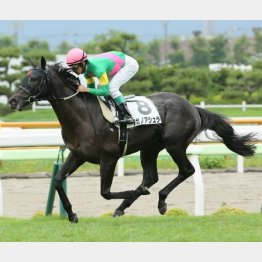 新馬戦は4馬身差のレコード
