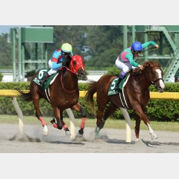 夏競馬の中でレベルの高さが目立ったレパードS
