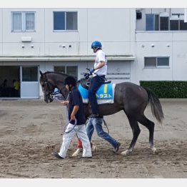 「もともと勝負はここ」