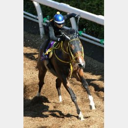 仕上がりは文句なしのビッグアーサー
