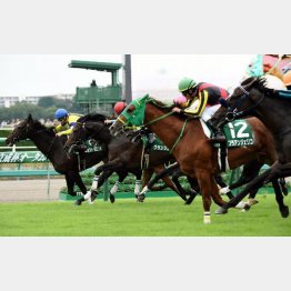大接戦だった昨年は222万馬券に