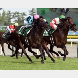 関屋記念は首差で惜敗(右)