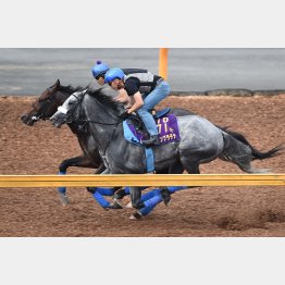 集中力が最後まで続いた(手前)