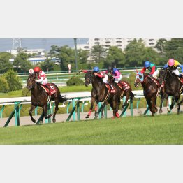 昨年のこのレースは鼻差②着だった(一番右)