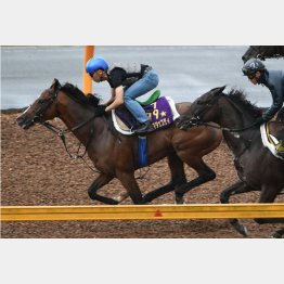 1週前、3F36秒7の好時計をマーク