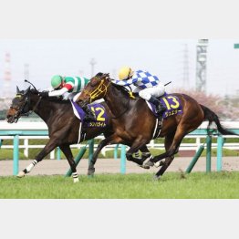 桜花賞はわずかにジュエラー(右)が先着したが……