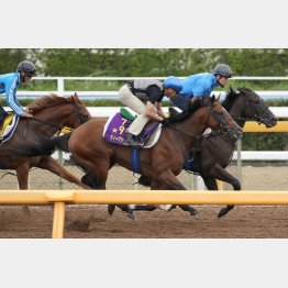 1Fで3馬身あった差を一気に詰めた(手前)