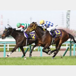 鼻差で差し切った