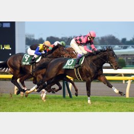 昨秋は東スポ杯2歳Sでスマートオーディンの②着