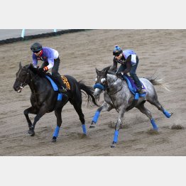 芦毛の馬体が躍動した