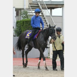 中間も元気いっぱい
