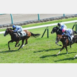 スペチアーレが半馬身差でゴール