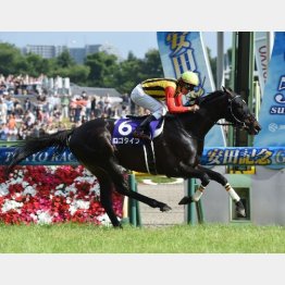 安田記念を逃げ切った