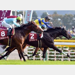 一昨年は夏場に使った組のワン・ツーで大波乱に