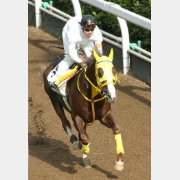 きのうは大きなパフォーマンスで駆け上がった