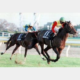 国内最終戦のJCを快勝