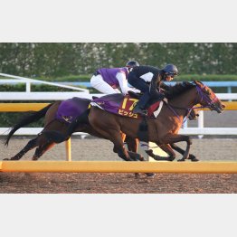 内へ入って楽々と併入に持ち込んだビッシュ(手前)