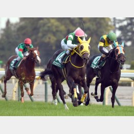 アルテミスSではのちのGⅠ2勝馬を撃破