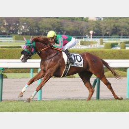 500万下を圧勝