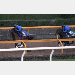 1F11秒5で相手を置き去りにしたサトノダイヤモンド(左)