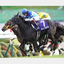 ヴィブロスはもまれない位置をうまく取った